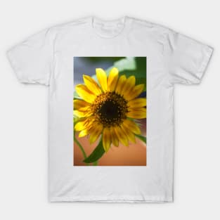 Sunflower Series XIII T-Shirt